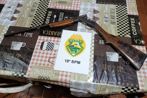 CUMPRIMENTO DE MANDADO DE PRISÃO/ POSSE IRREGULAR DE ARMA DE FOGO, ACESSÓRIO OU MUNIÇÃO