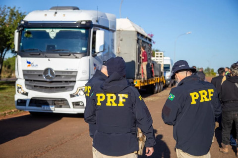 PRF escolta elefanta Kenya em travessia do Paraná ao Mato Grosso rumo a santuário especializado