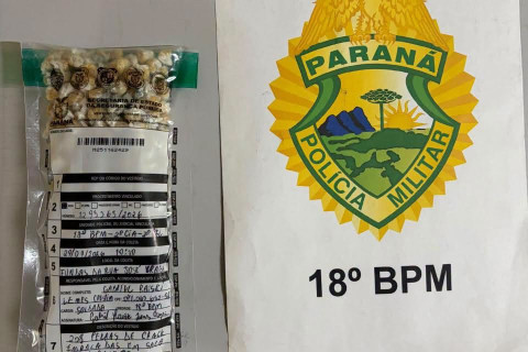 ACHADO DE DROGA ILICITA