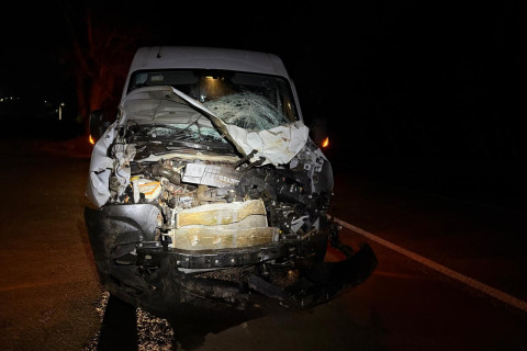 Grave acidente na BR-369 deixa três cavalos mortos e duas pessoas feridas em Santa Mariana