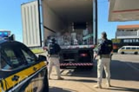 PRF apreende quase 8 toneladas de maconha em Cambé (PR)