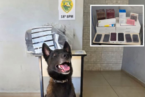 DROGAS PARA CONSUMO PESSOAL